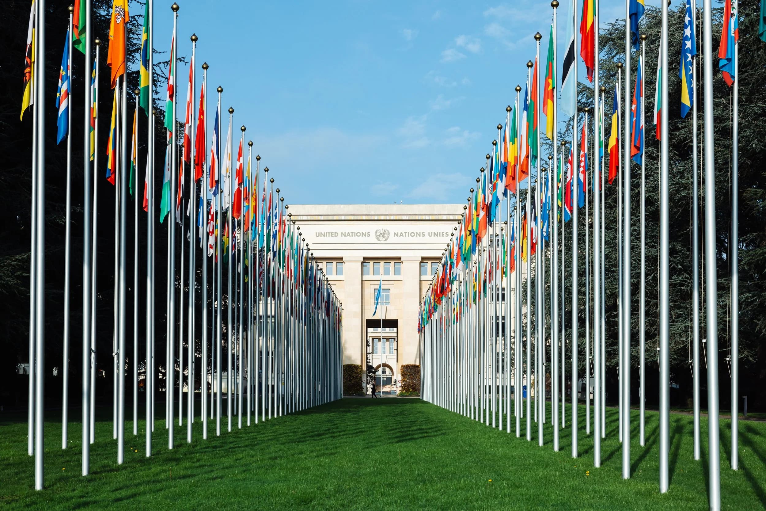 Portfolio Vorschau 01